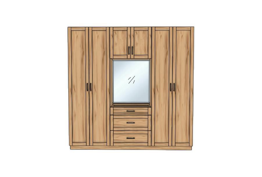 Closet design 5